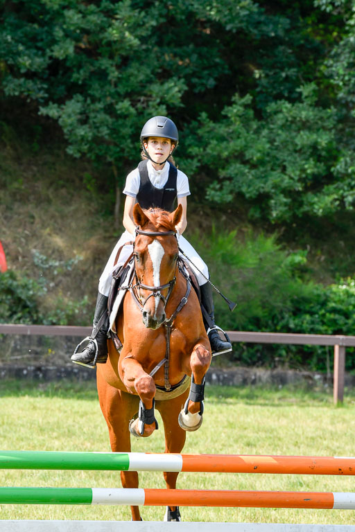 Reitturnier Harburger RV  16.7.2021 | 16072021 Stilspringpfg E_306-2 