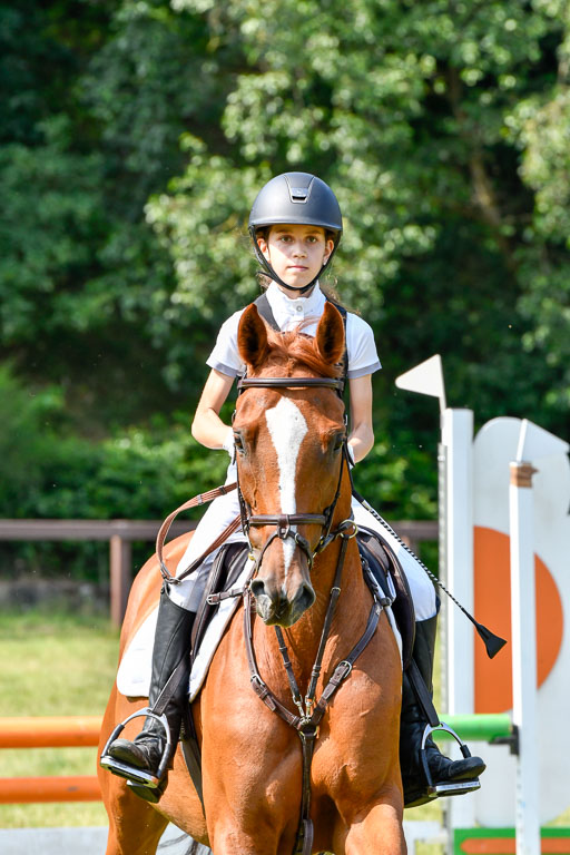 Reitturnier Harburger RV  16.7.2021 | 16072021 Stilspringpfg E_308-2 