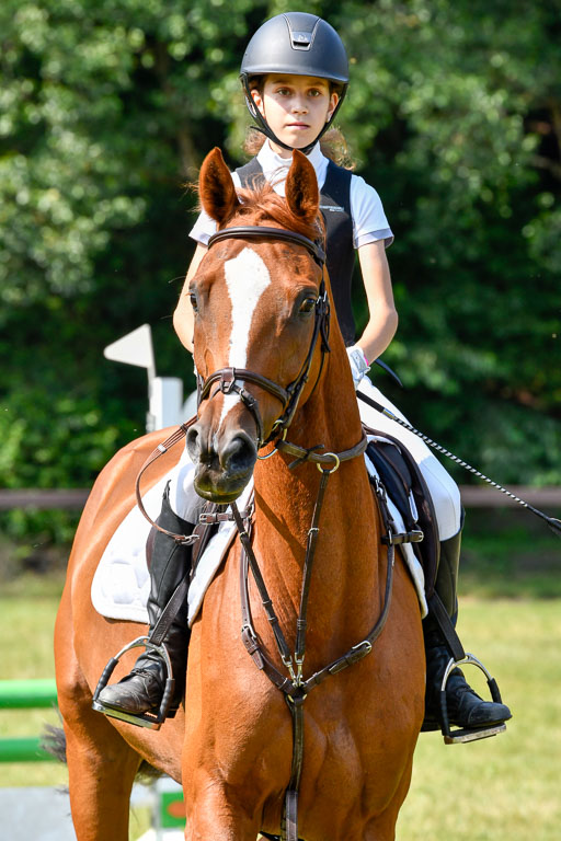 Reitturnier Harburger RV  16.7.2021 | 16072021 Stilspringpfg E_309-2 