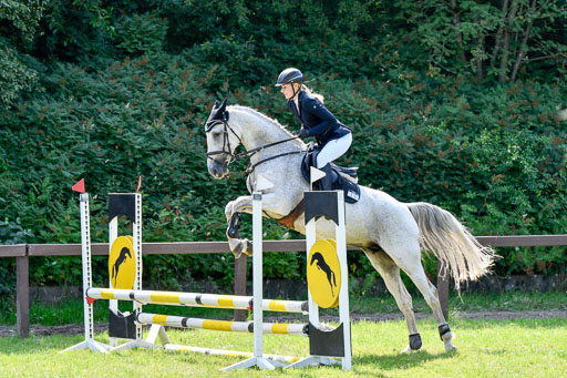 Reitturnier Harburger RV  16.7.2021 | 16072021 Stilspringpfg E_312-2 