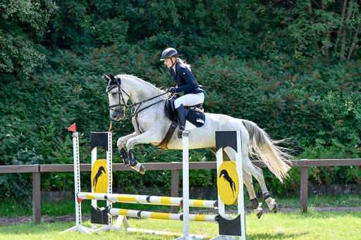 Reitturnier Harburger RV  16.7.2021 | 16072021 Stilspringpfg E_313-2 