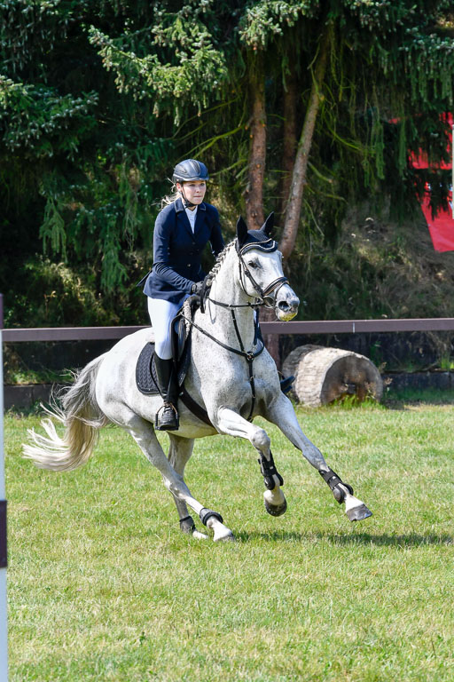 Reitturnier Harburger RV  16.7.2021 | 16072021 Stilspringpfg E_315-2 