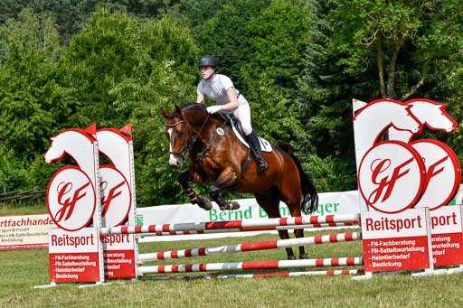 Reitturnier Harburger RV  16.7.2021 | 16072021 Stilspringpfg E_322-2 