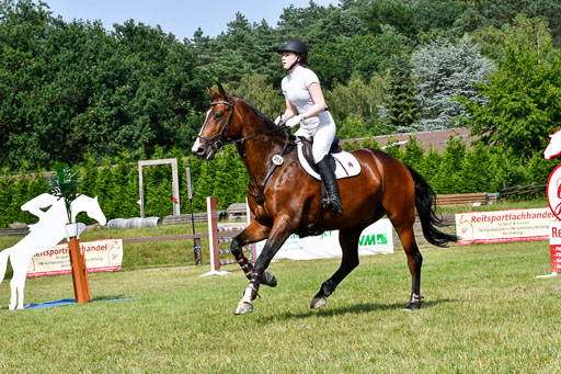 Reitturnier Harburger RV  16.7.2021 | 16072021 Stilspringpfg E_323-2 