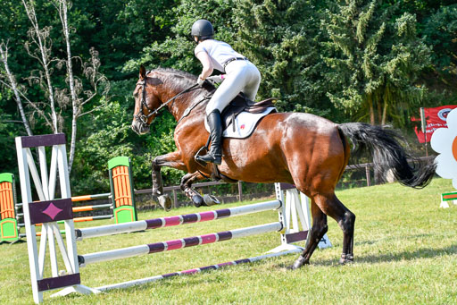 Reitturnier Harburger RV  16.7.2021 | 16072021 Stilspringpfg E_324-2 