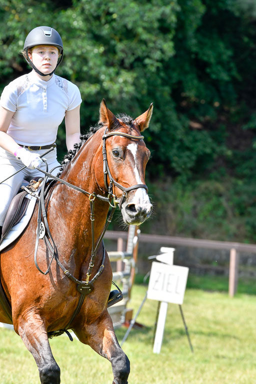 Reitturnier Harburger RV  16.7.2021 | 16072021 Stilspringpfg E_326-2 