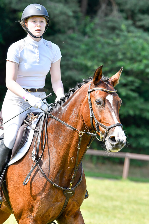 Reitturnier Harburger RV  16.7.2021 | 16072021 Stilspringpfg E_327-2 