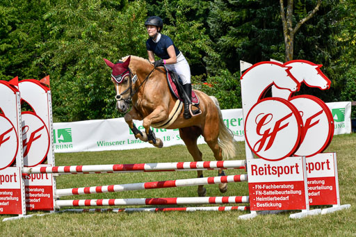 Reitturnier Harburger RV  16.7.2021 | 16072021 Stilspringpfg E_330-2 
