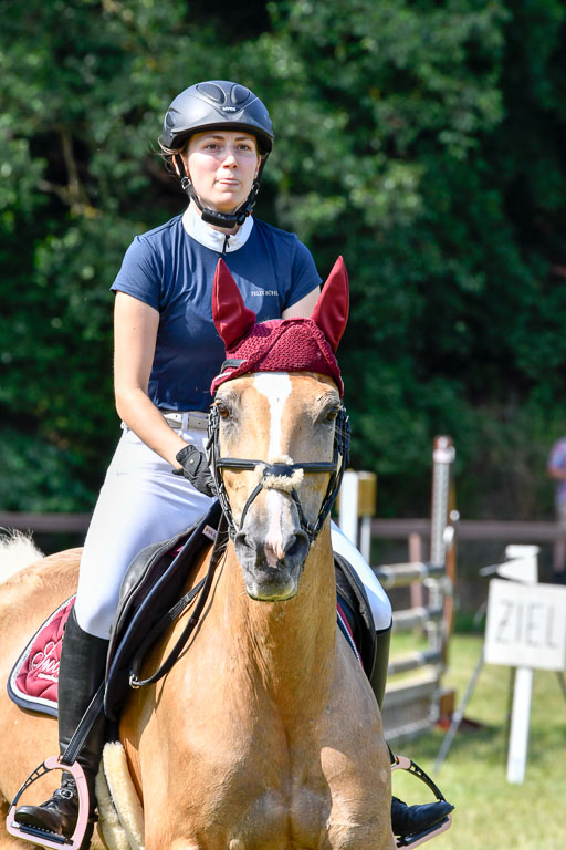 Reitturnier Harburger RV  16.7.2021 | 16072021 Stilspringpfg E_334-2 