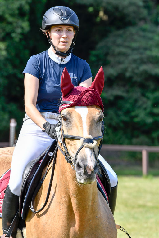 Reitturnier Harburger RV  16.7.2021 | 16072021 Stilspringpfg E_335-2 