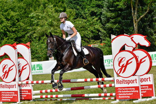 Reitturnier Harburger RV  16.7.2021 | 16072021 Stilspringpfg E_340-2 