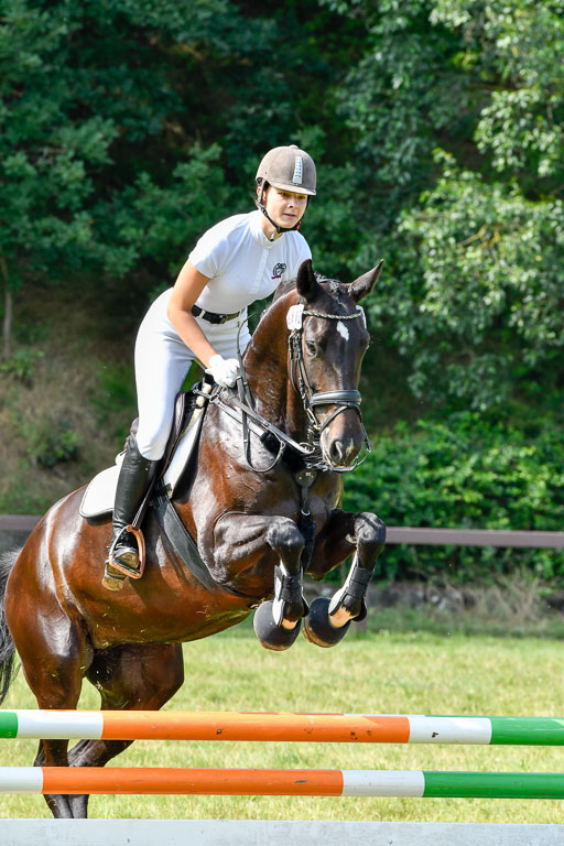 Reitturnier Harburger RV  16.7.2021 | 16072021 Stilspringpfg E_342-2 