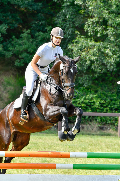 Reitturnier Harburger RV  16.7.2021 | 16072021 Stilspringpfg E_343-2 