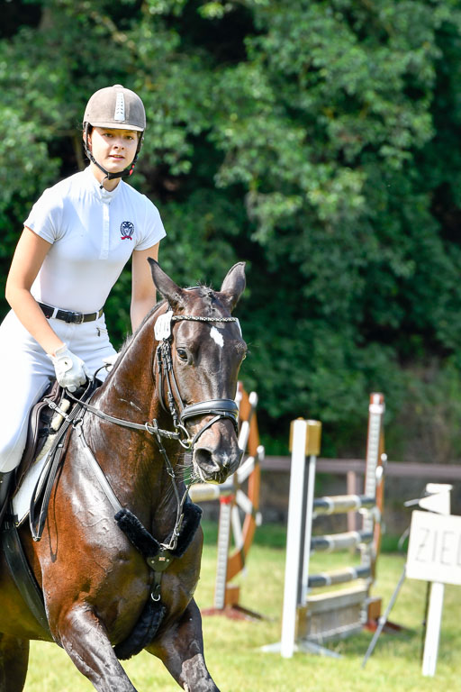 Reitturnier Harburger RV  16.7.2021 | 16072021 Stilspringpfg E_344-2 