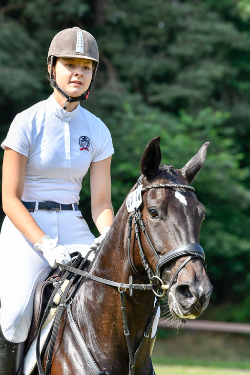 Reitturnier Harburger RV  16.7.2021 | 16072021 Stilspringpfg E_346-2 