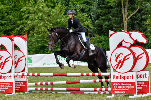 Reitturnier Harburger RV  16.7.2021 | 16072021 Stilspringpfg E_350-2 