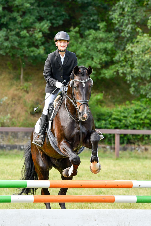 Reitturnier Harburger RV  16.7.2021 | 16072021 Stilspringpfg E_352-2 