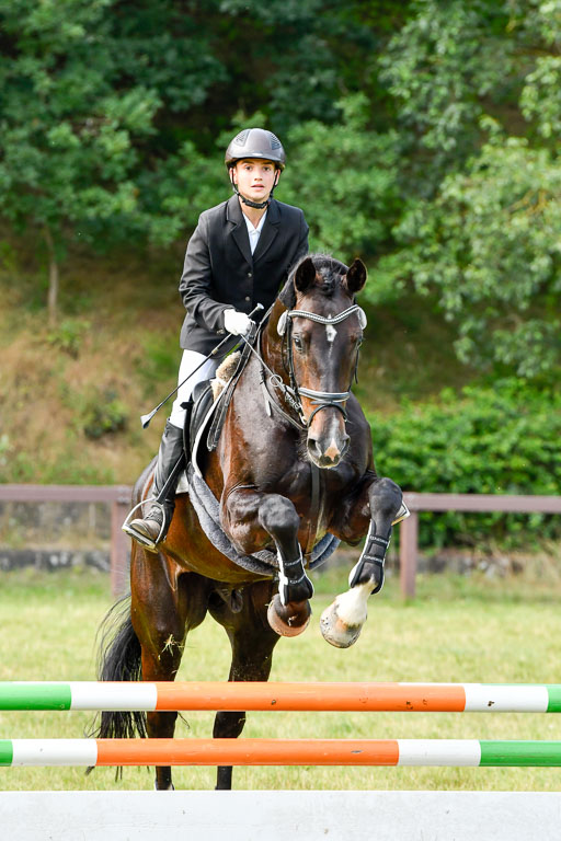 Reitturnier Harburger RV  16.7.2021 | 16072021 Stilspringpfg E_353-2 