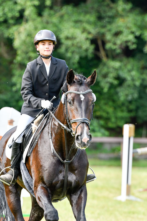 Reitturnier Harburger RV  16.7.2021 | 16072021 Stilspringpfg E_355-2 