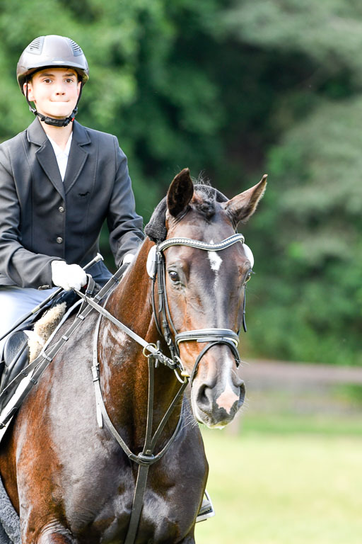 Reitturnier Harburger RV  16.7.2021 | 16072021 Stilspringpfg E_356-2 