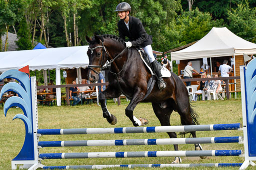 Reitturnier Harburger RV  16.7.2021 | 16072021 Stilspringpfg E_357-2 