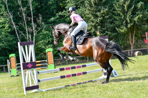 Reitturnier Harburger RV  16.7.2021 | 16072021 Stilspringpfg E_363-2 