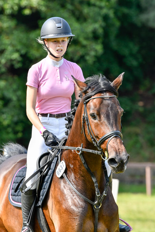 Reitturnier Harburger RV  16.7.2021 | 16072021 Stilspringpfg E_367-2 