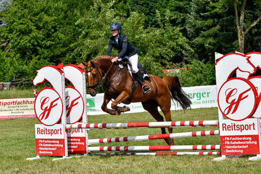 Reitturnier Harburger RV  16.7.2021 | 16072021 Stilspringpfg E_370-2 