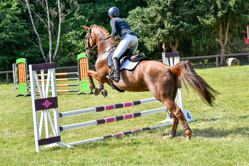 Reitturnier Harburger RV  16.7.2021 | 16072021 Stilspringpfg E_372-2 