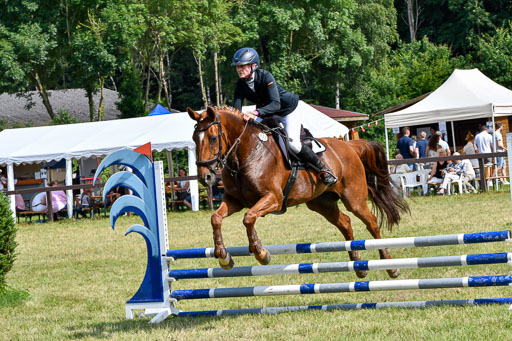 Reitturnier Harburger RV  16.7.2021 | 16072021 Stilspringpfg E_377-2 