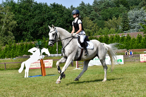 Reitturnier Harburger RV  16.7.2021 | 16072021 Stilspringpfg E_382-2 