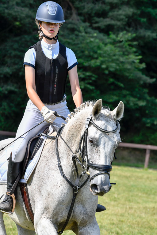 Reitturnier Harburger RV  16.7.2021 | 16072021 Stilspringpfg E_387-2 