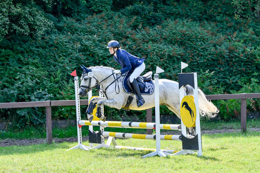 Reitturnier Harburger RV  16.7.2021 | 16072021 Stilspringpfg E_390-2 