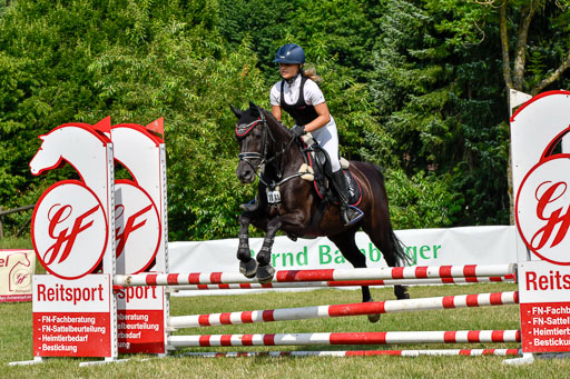 Reitturnier Harburger RV  16.7.2021 | 16072021 Stilspringpfg E_398-2 