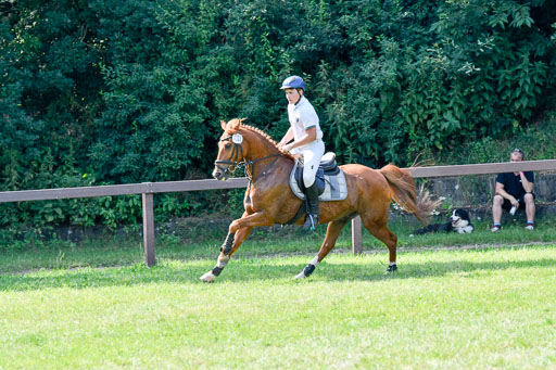Reitturnier Harburger RV  16.7.2021 | 16072021 Stilspringpfg E_405-2 