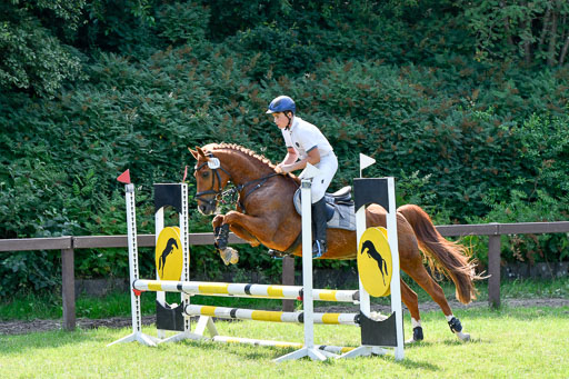 Reitturnier Harburger RV  16.7.2021 | 16072021 Stilspringpfg E_406-2 
