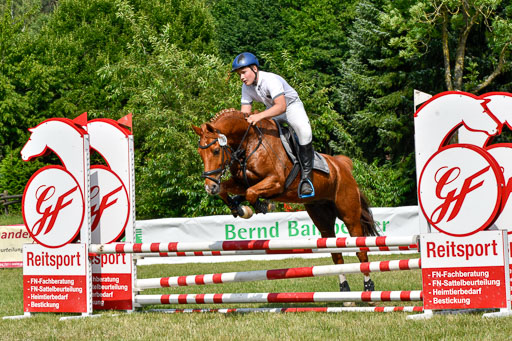 Reitturnier Harburger RV  16.7.2021 | 16072021 Stilspringpfg E_407-2 
