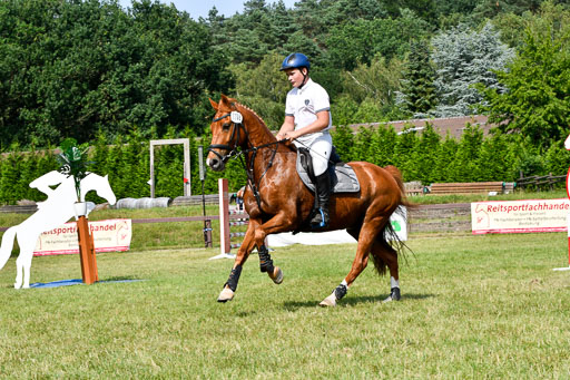 Reitturnier Harburger RV  16.7.2021 | 16072021 Stilspringpfg E_408-2 