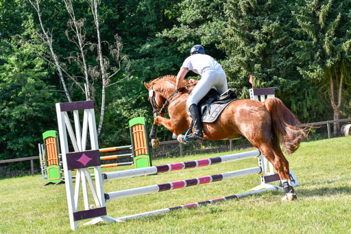 Reitturnier Harburger RV  16.7.2021 | 16072021 Stilspringpfg E_410-2 