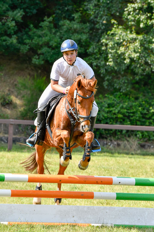 Reitturnier Harburger RV  16.7.2021 | 16072021 Stilspringpfg E_412-2 