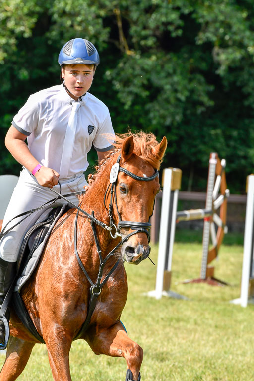 Reitturnier Harburger RV  16.7.2021 | 16072021 Stilspringpfg E_414-2 