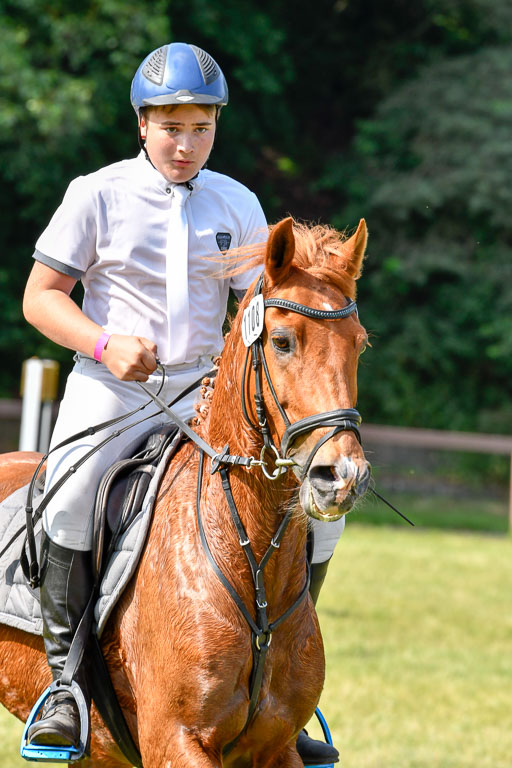 Reitturnier Harburger RV  16.7.2021 | 16072021 Stilspringpfg E_415-2 