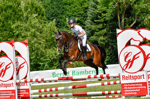 Reitturnier Harburger RV  16.7.2021 | 16072021 Stilspringpfg E_418-2 