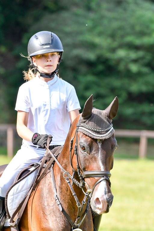 Reitturnier Harburger RV  16.7.2021 | 16072021 Stilspringpfg E_426-2 