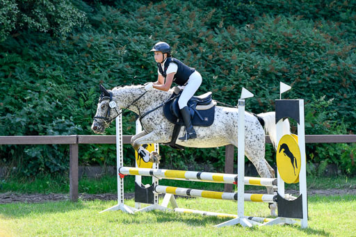 Reitturnier Harburger RV  16.7.2021 | 16072021 Stilspringpfg E_431-2 