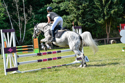 Reitturnier Harburger RV  16.7.2021 | 16072021 Stilspringpfg E_435-2 