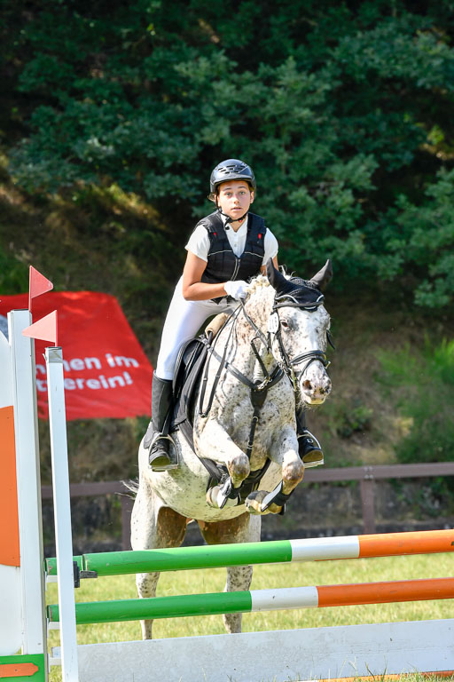 Reitturnier Harburger RV  16.7.2021 | 16072021 Stilspringpfg E_436-2 