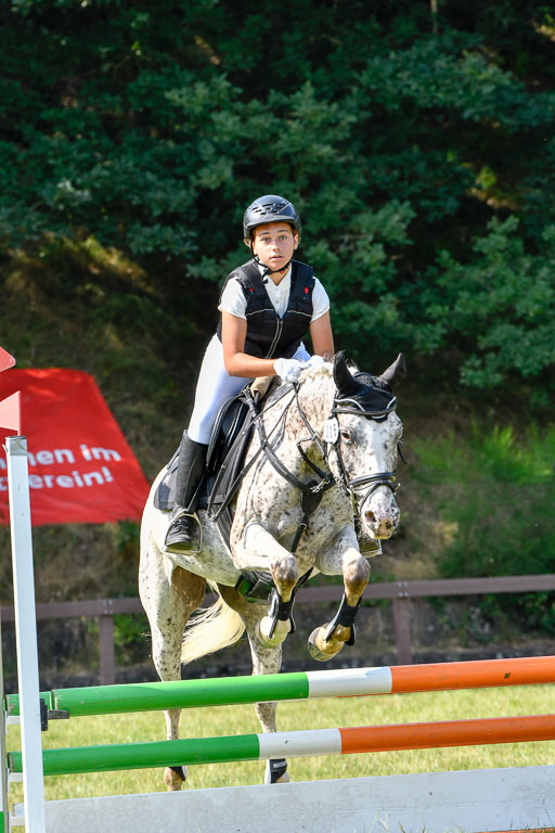 Reitturnier Harburger RV  16.7.2021 | 16072021 Stilspringpfg E_437-2 