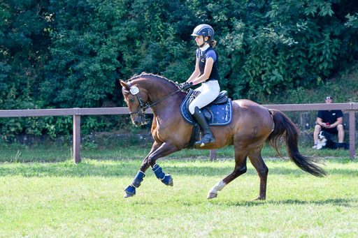 Reitturnier Harburger RV  16.7.2021 | 16072021 Stilspringpfg E_442-2 