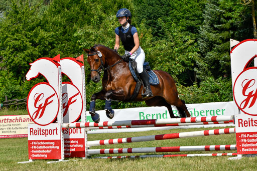 Reitturnier Harburger RV  16.7.2021 | 16072021 Stilspringpfg E_445-2 